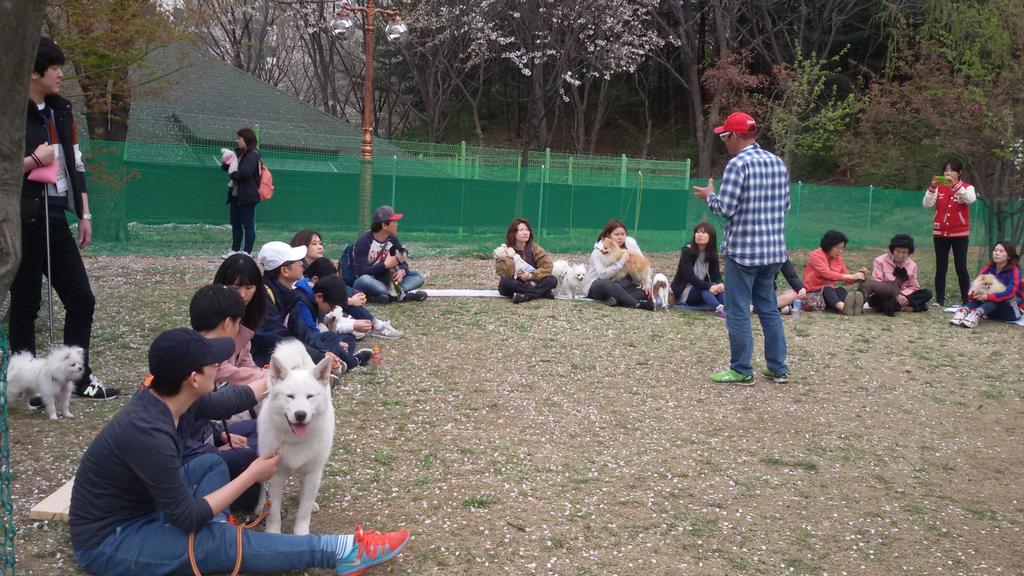성남시 반려동물 문화교실 오늘부터 8주간 중앙공원 반려견 놀이터에서 진행하고 있습니다