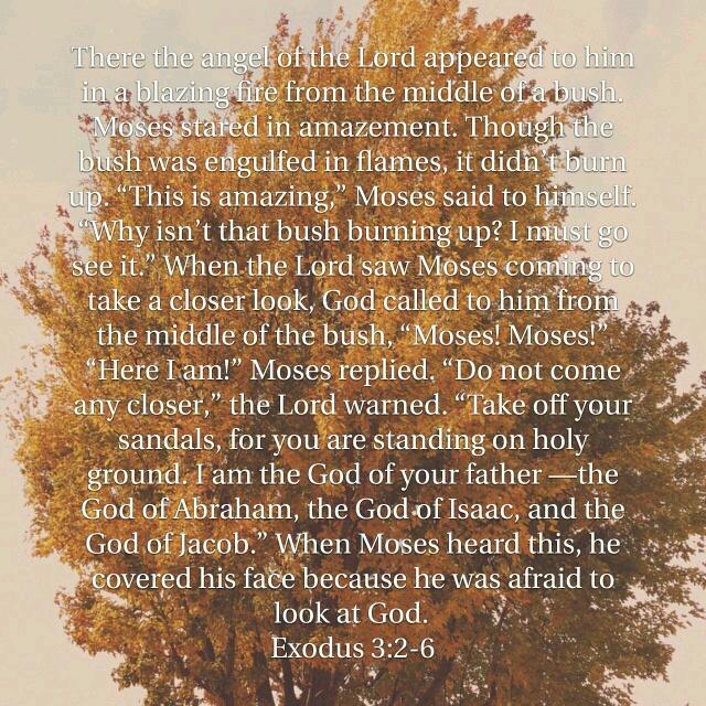 drp6830's tweet image. bible.com/12/exo.3.2-6.A…