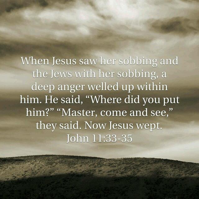 drp6830's tweet image. bible.com/12/jhn.11.33-3…