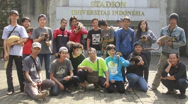 Komunitas Muldok, Melestarikan Hewan Musang goo.gl/fwZm5F <a href="/MuldokDepok/">MusangLoverDepok</a> <a href="/MusangLovers/">MLI</a> #Jakarta