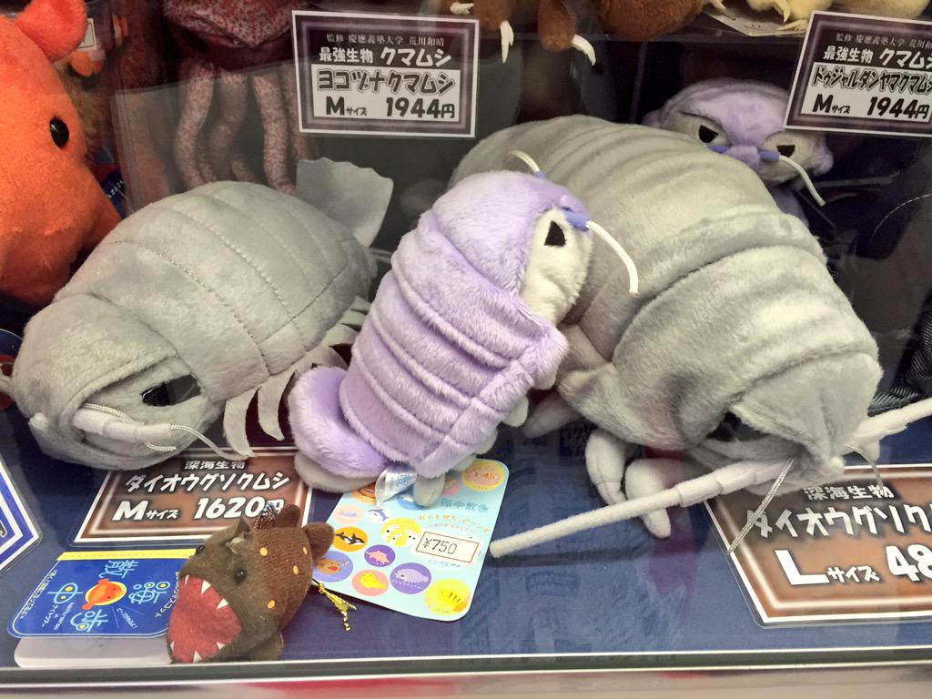 There is an entire shop dedicated to plushie woodlice. There's my souvenirs sorted