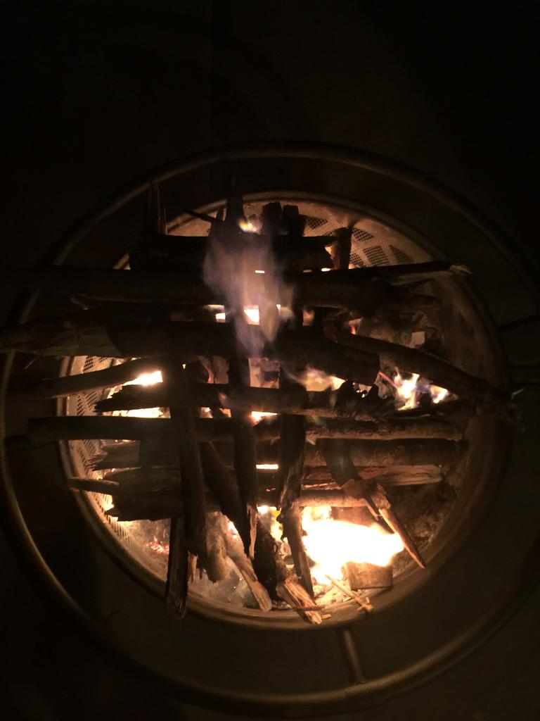 jambuesch's tweet photo. I almost burned down our tree in our backyard.  Anyone have any coffee creamer? http://t.co/9RE2nwAkYn