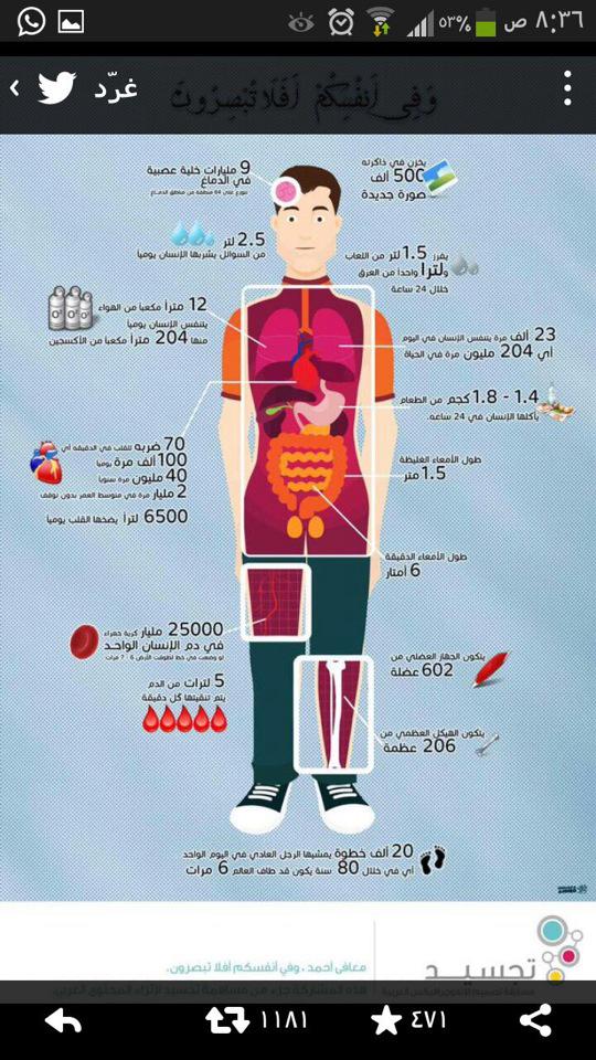 alkng20201's tweet photo. ( وفي أنفسكم أفلا تبصرون) http://t.co/iBGRRbnJic