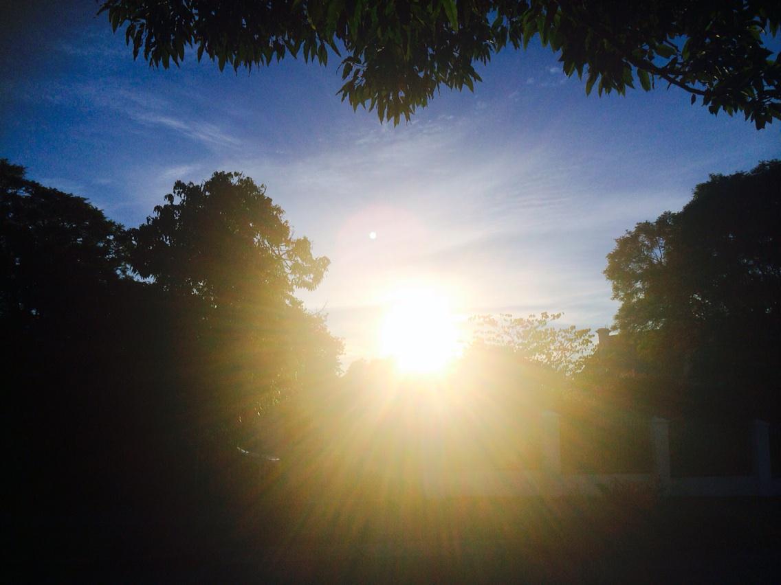 ThuliMadonsela3's tweet photo. A beautiful sunrise reminds us that each day presents an opportunity for new beginnings &amp; renewal #Hope http://t.co/pl1lARf4TJ