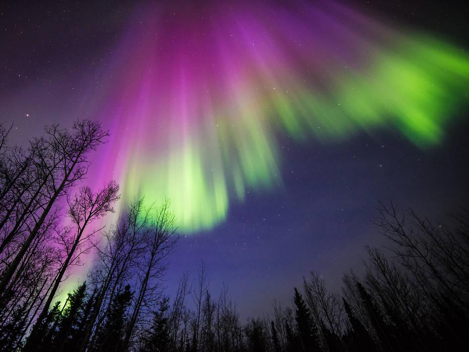 ObservingSpace's tweet photo. Purple and Green Aurora in Alaska http://t.co/ZFzLqj7zE7 #aurora #alaska http://t.co/93YGQKxOBS
