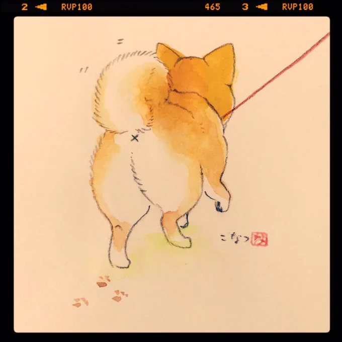 ちょこっとらくがき:しばけつ 