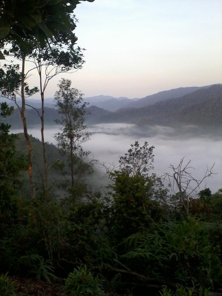 ShaidatulLyana's tweet photo. Dulu pernah taubat da taknak naik
Sekarang tak tahu apa sudah jadi pada taubat itu
#misstheview http://t.co/oQsR7zy32n