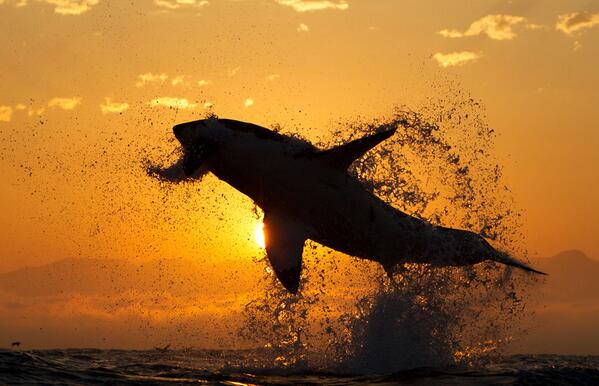 _Paisajes_ tweet picture