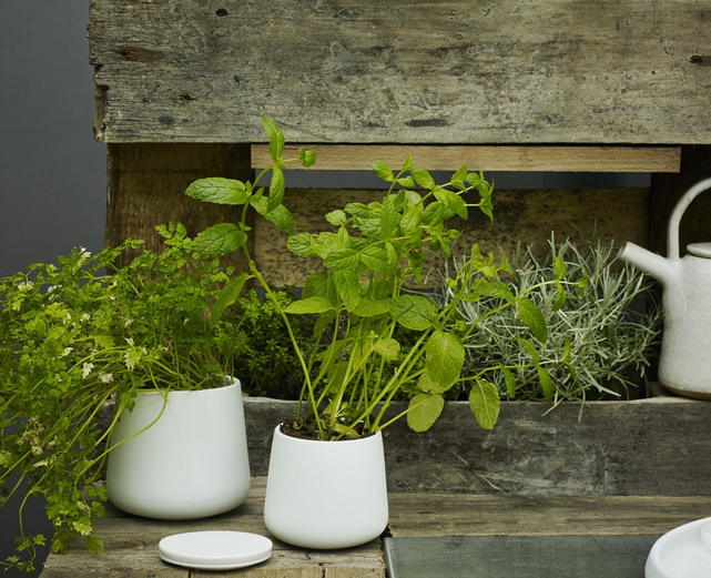 skandium_com's tweet photo. Easy breezy Skagerak! Simplicity, functionality and elegance are consistent elements in Skage…
http://t.co/WvB41FZE6l http://t.co/JpUwzGS4m8