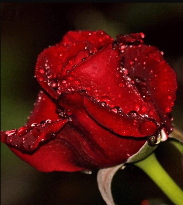 99Dnm's tweet photo. @nn_77777 
يسلموووووووووو ماعليك زود http://t.co/gzDC4Wqtfs