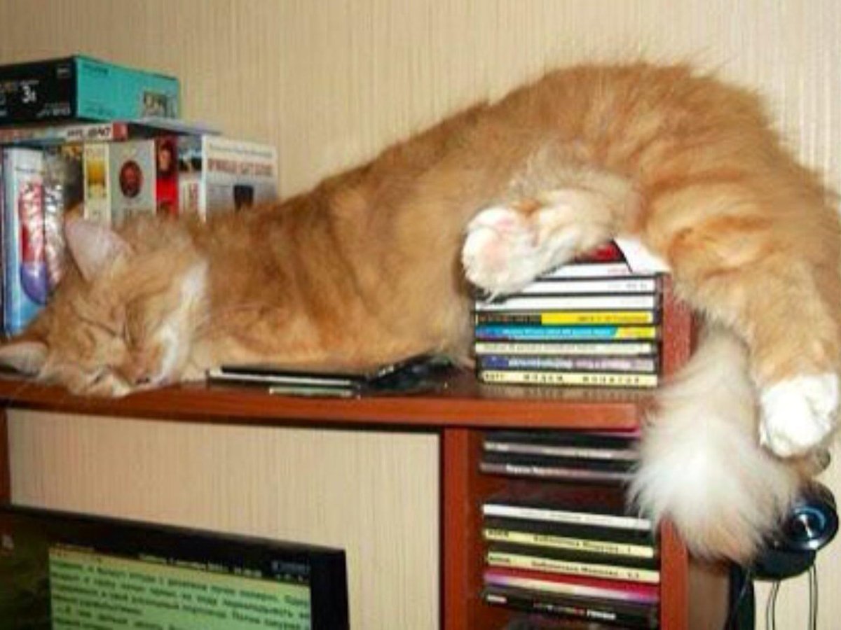 To sleep ...

Pic from <a href="/PenelopeRuzy/">Rock & Tattoo Lady...🎸🎶</a>