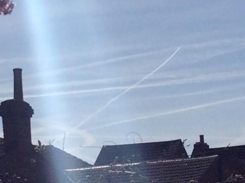 iain39's tweet image. @loveacupotea @udvdx @blazeart_ @lek_black @loftyjester @jace3312 
One has to wonder, who do we thank for this?