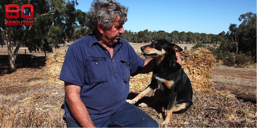 60Mins's tweet photo. Bruce Dixon says he could not, “contemplate the other side of life”, should the bank take his beloved farm. #60Mins http://t.co/W8ciPzSwUZ