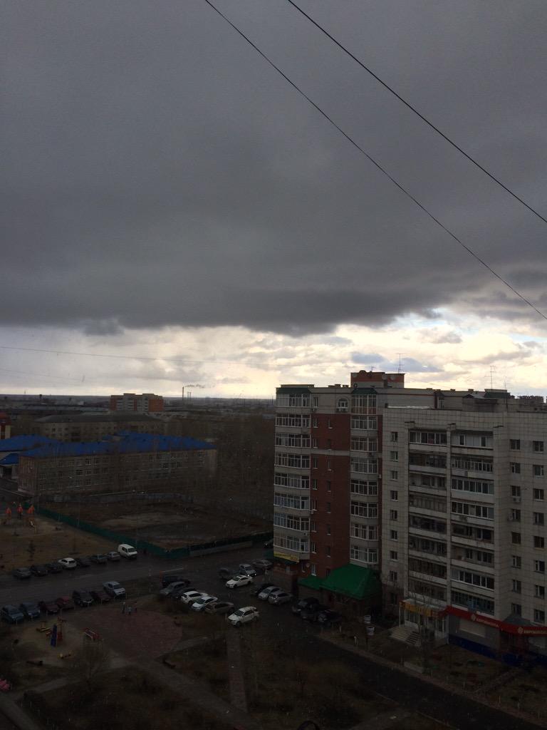 TayHoly's tweet image. @green__diva