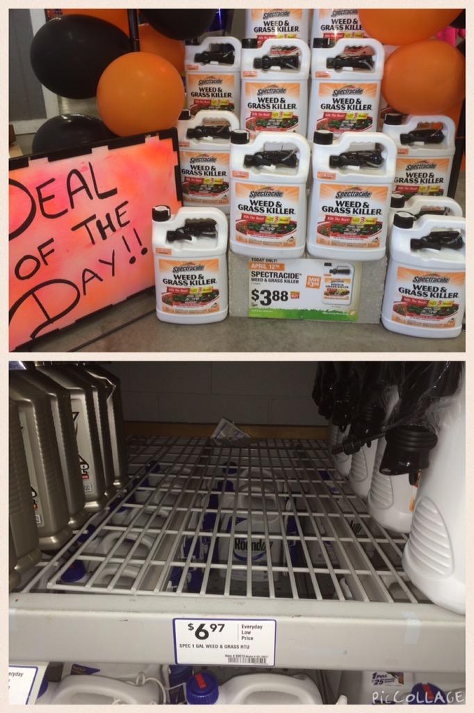 BeauTrammel's tweet photo. @DeborahSandmann @JarrodFarmer4 @lanawarriner @melaniepayneTHD #SWSBF Deal or no deal? You decide. http://t.co/VN1ABNb5mX