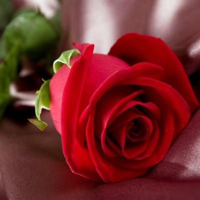 نلتقي في صمت ونتوادع بخوف
            بيننا حتى الحكـي صـار بحـذر .

رآقت لي