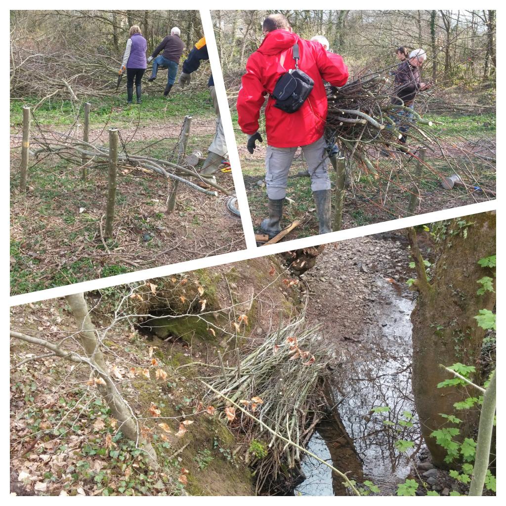 HenllysLNR's tweet photo. Great #Henllys LNR event this morning stabilising stream banks with brash #fascines #volunteering @Keep_Wales_Tidy http://t.co/8IMsq9yx3H