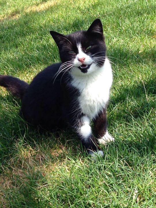 Sayın ÇİĞDEM UYAR ÇÖKMEZ'den tüm beşiktaşlılara hediyesi👏.. ebru@tepekent.com.tr