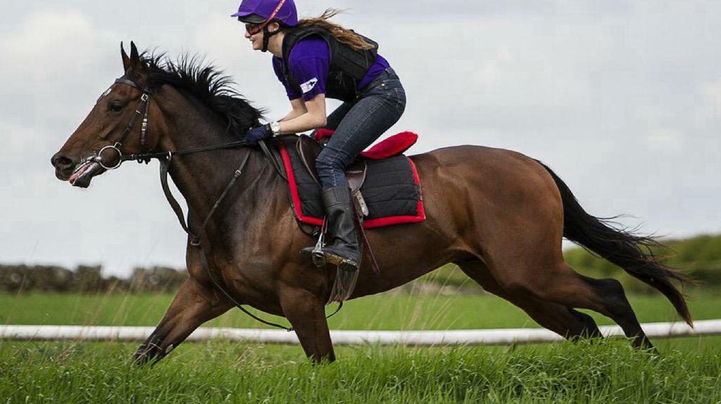 LamontRacing's tweet photo. 10% share available in our 3yo un-raced colt by Hard Spun for £2k and £200 a month all in. @FRabbits http://t.co/vAYrQzG3xm
