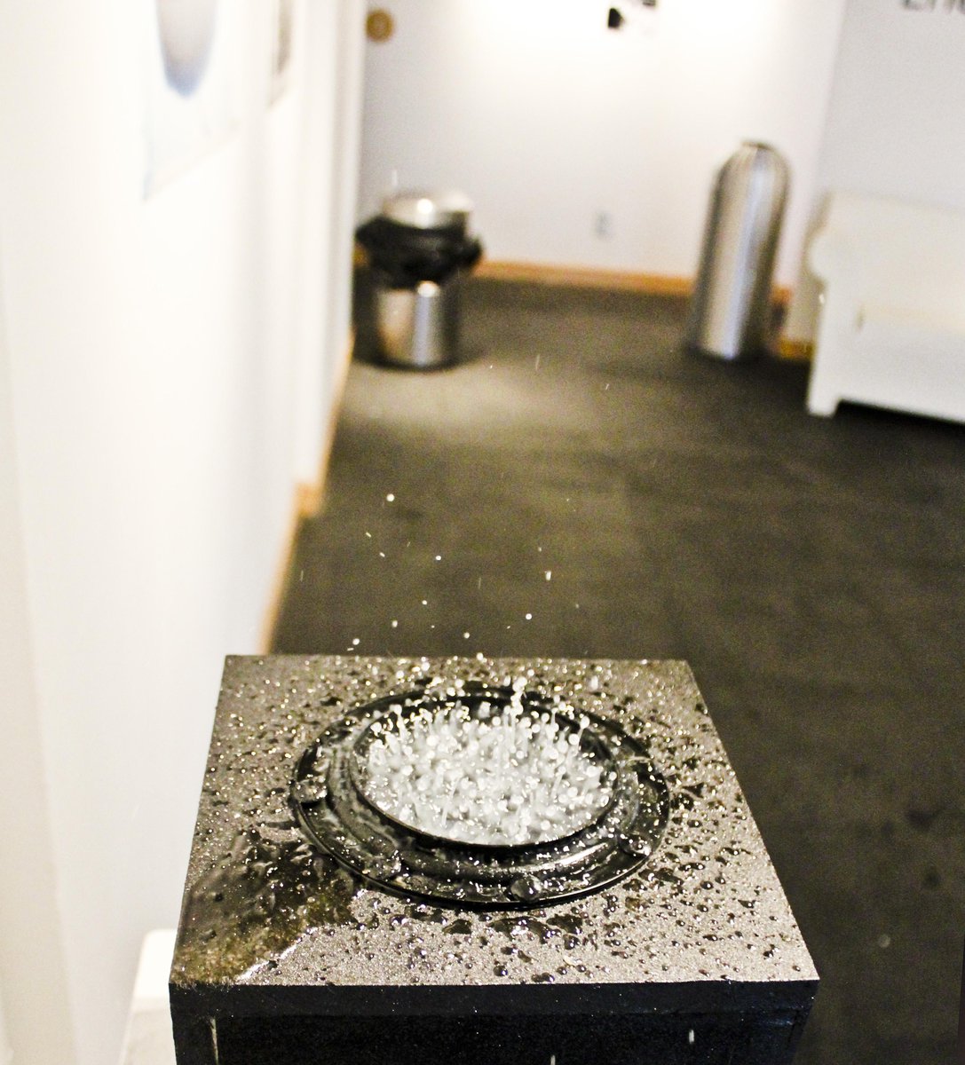 Bass Structures tweet media