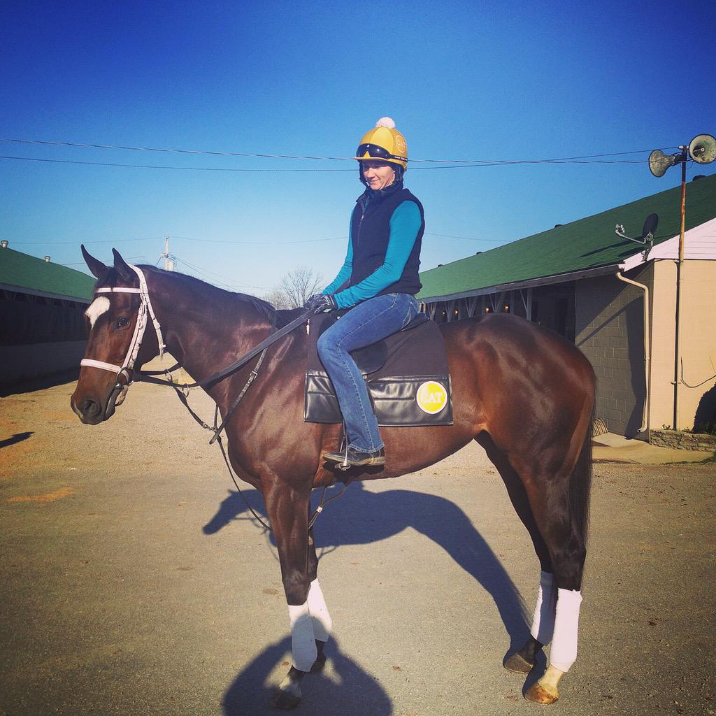 Gary's Drakes 3yr old Congrats filly, Hailing.