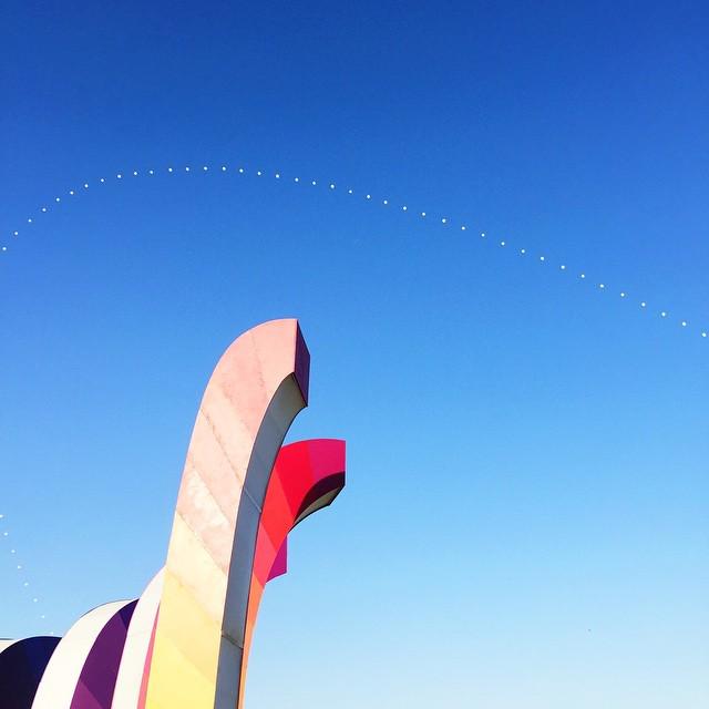 curatedagency's tweet image. Desert Installation by #Aphidoidea | #whpcolorplay
