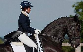 Dressage Ireland tweet media