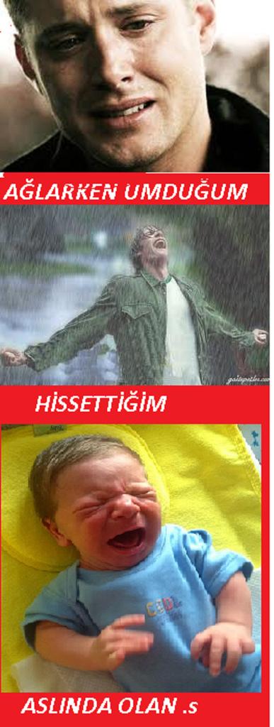 <a href="/by_muhib/">Muhib Taha</a>