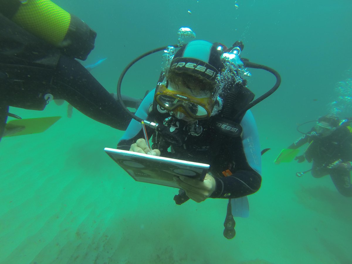 OceanEyesTarifa's tweet photo. Gran día el de ayer en Tarifa :) ¡Gracias, voluntarios! http://t.co/KA8sLslc4h