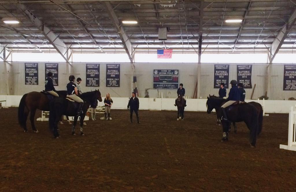 UConnEquestrian's tweet photo. http://t.co/MgyH1RwTce