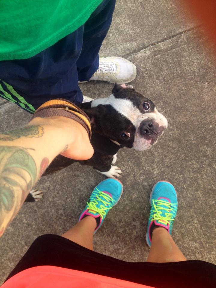 Alejitarpo23's tweet photo. @Runtastic today after running with my #husband and my #bostonterrier #dog http://t.co/B4zS17oX7h