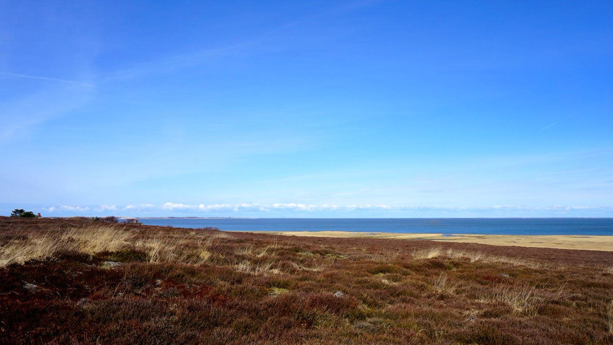 Frühling auf Sylt. Die Natur erwacht zum Leben und jeder Spaziergang wird zu einem Erlebnis für die Sinne.