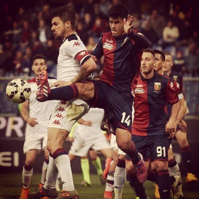 GenoaMania's tweet photo. http://t.co/BcJrfThLbZ