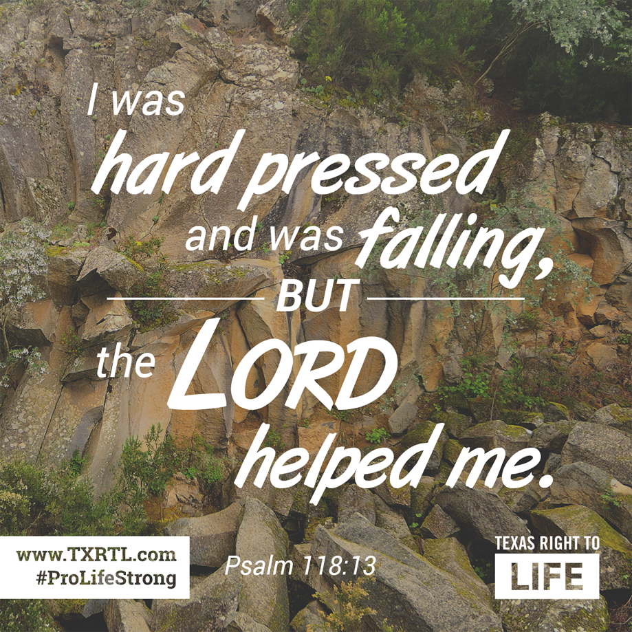 TXRightToLife's tweet photo. God is good.  #PrayForLife #ProLifeStrong http://t.co/FmvlW0HhPE