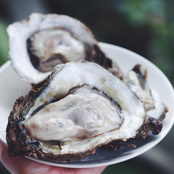 Oysters are rich in zinc, a lack of which can lead to hair loss (even in your eyelashes. glotea.com