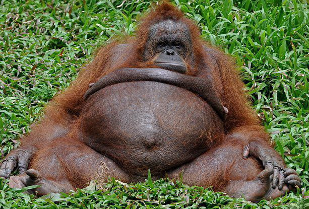 se888iv's tweet image. ВСЁ БУДЕТ ХОРОШО!!! - САМ ТАКОЙ!!!
goo.gl/EJbtec