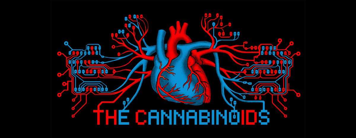 _Cannabinoids's tweet photo. Follow us @_Cannabinoids @rceeezy @PICNICTYME @robfreestyle @dja1 @DJBIGTX @jah_born @SymbolycOne @fatbellybella http://t.co/WJrXa54Ul1