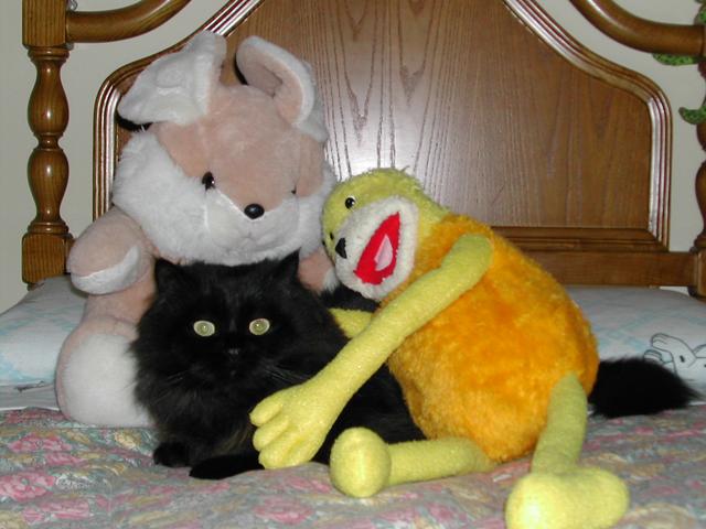 mM_wm's tweet photo. @Rubiu5 te has copiado de nombre gatuno!! :D O bien tu gato es la reencarnación del mio... 😱 http://t.co/fPHQjali8O