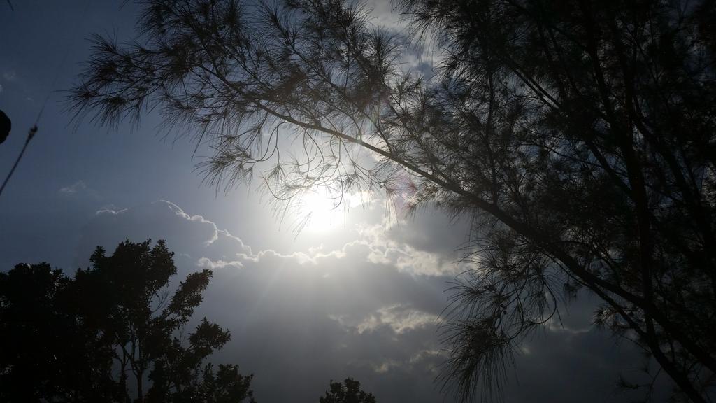 winmac100's tweet image. 