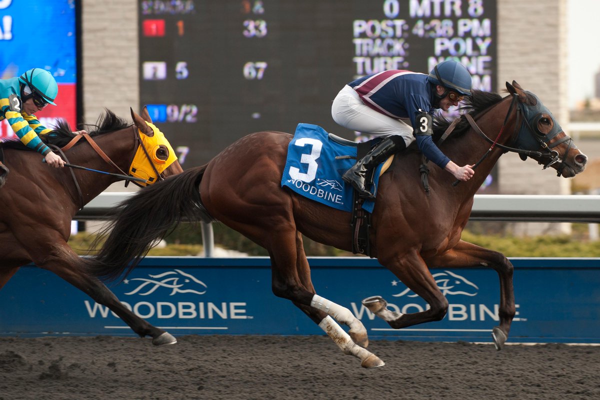 TripleDeadHeat's tweet photo. Congrats @skipskipskippin &amp; team on U S Marshal's Wando win. Davy Moran up for Ian Black http://t.co/nDtZ9Upi9J http://t.co/qjDS9bHFhh