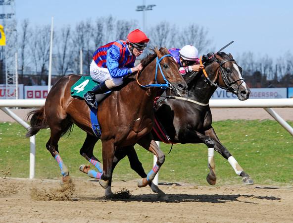 Silver Ocean put up a great fight today in Kvanbylöpning but missed it by a nose. Energia Colonial was 4th