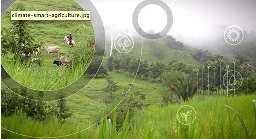 Learn how to put greenhouse gas accounting to work for climate-smart #agriculture: wrld.bg/LvUrh