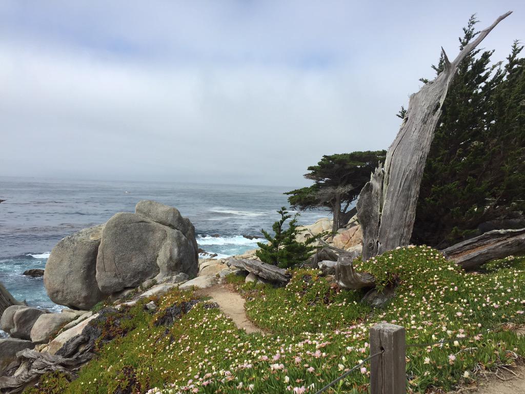 No trip to sea otter would be complete without a spin around 17 mile point. Until next year!