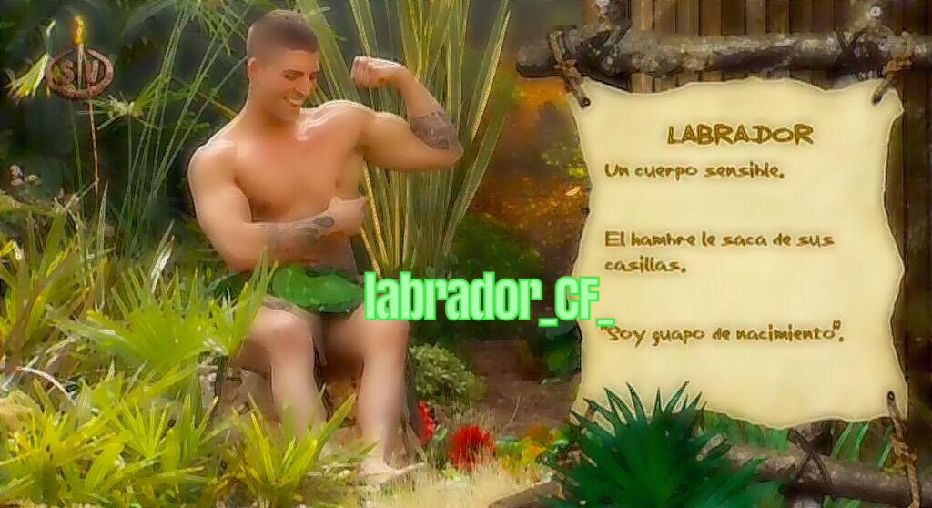 Labrador_CF_'s tweet photo. Dicen que las cosas buenas tardan, pero llegan,así que vuelve tarde. #salvarlabrador #DBT1SV 🔝👌✌️👊💕 http://t.co/YpbYhsCSbf