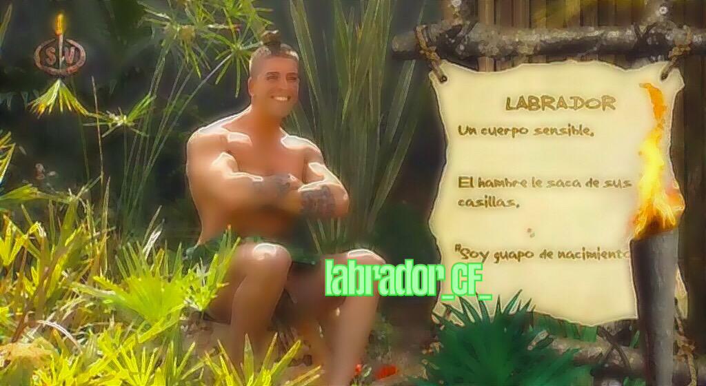 Labrador_CF_'s tweet photo. Dicen que las cosas buenas tardan, pero llegan,así que vuelve tarde. #salvarlabrador #DBT1SV 🔝👌✌️👊💕 http://t.co/YpbYhsCSbf