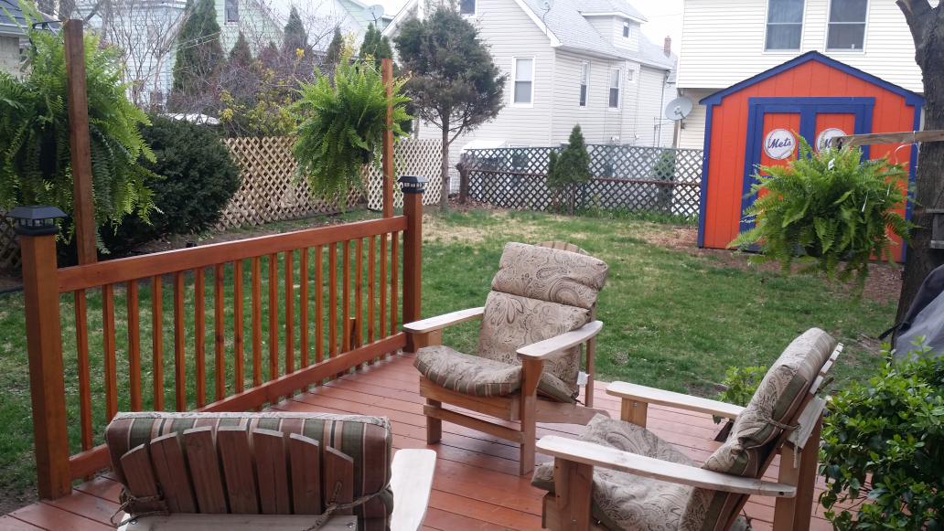 Deal of the Day: ferns look good on my deck #Store6845