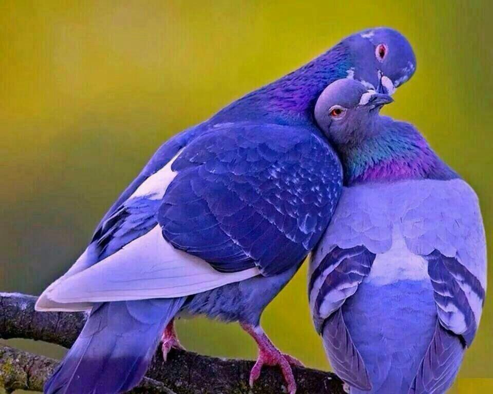 SamerMove's tweet image. 