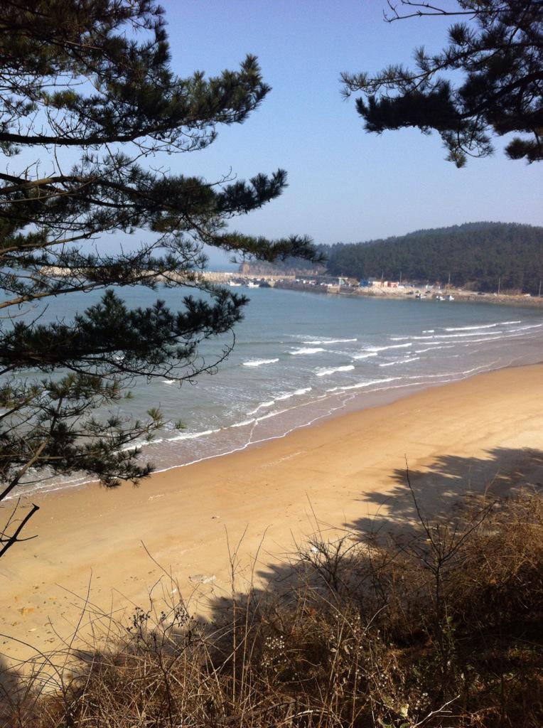 허순엄마 (@asparagusv) on Twitter photo 