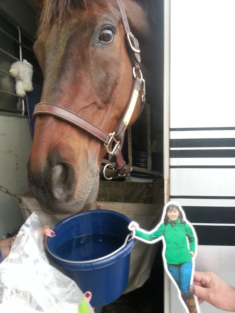 SuperRoverOTTB's tweet photo. @GMDeschamps @DQLite #FlatLisa is definitely earning her keep... watering me and posing with Gran Pam and Papa http://t.co/66xsbgJiuk
