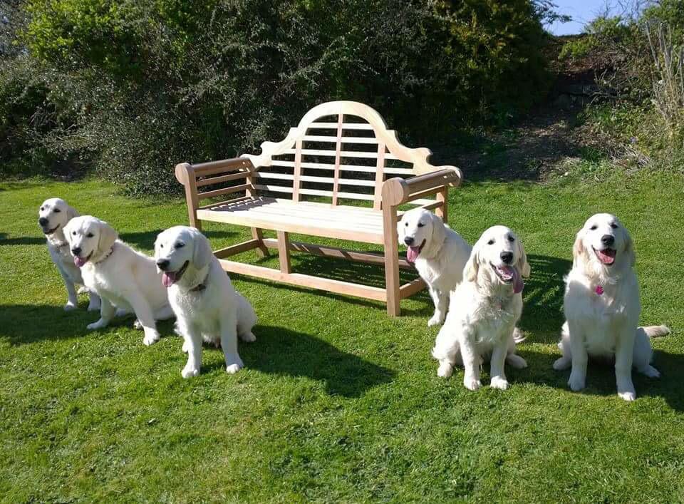 Kim Wicks tweet media